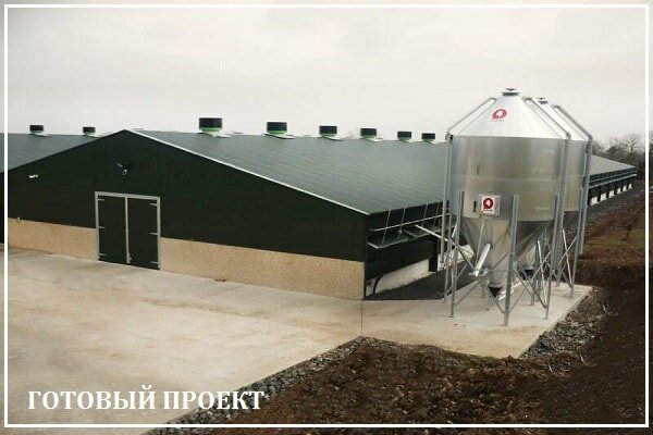 Этапы возведения птицефабрики от завода ВелесТент-мнж